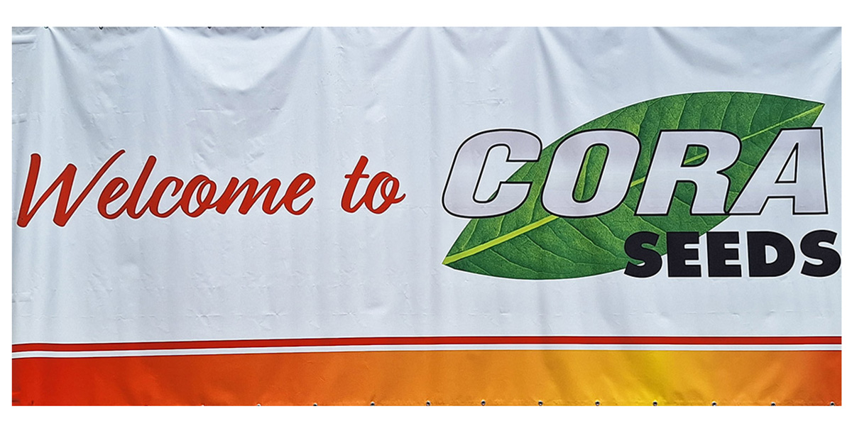 Cora Seeds guarda al futuro della filiera con l’innovazione varietale